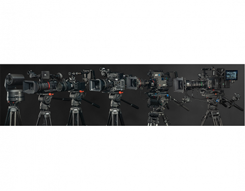 Large selection of cameras